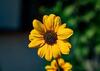 Test listing 22062026
