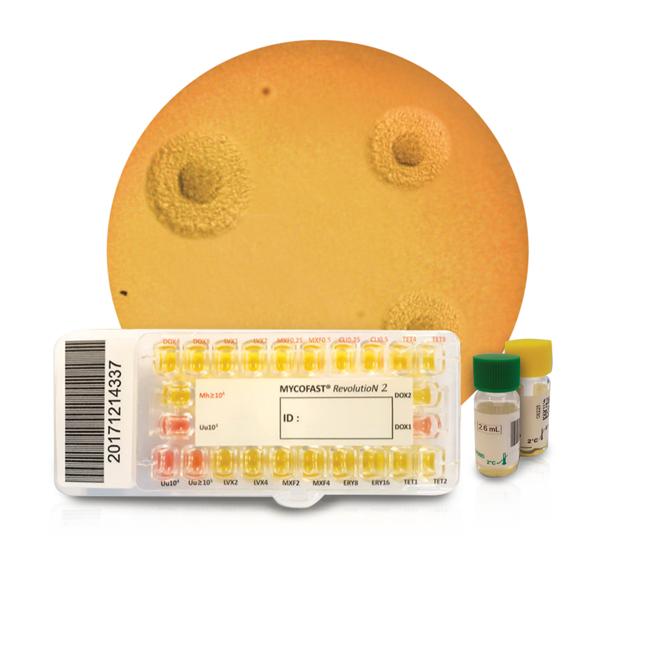 Urogenital Mycoplasma Range