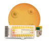 Urogenital Mycoplasma Range
