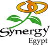 Synergy Egypt